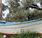 {Freefalling in Greece}